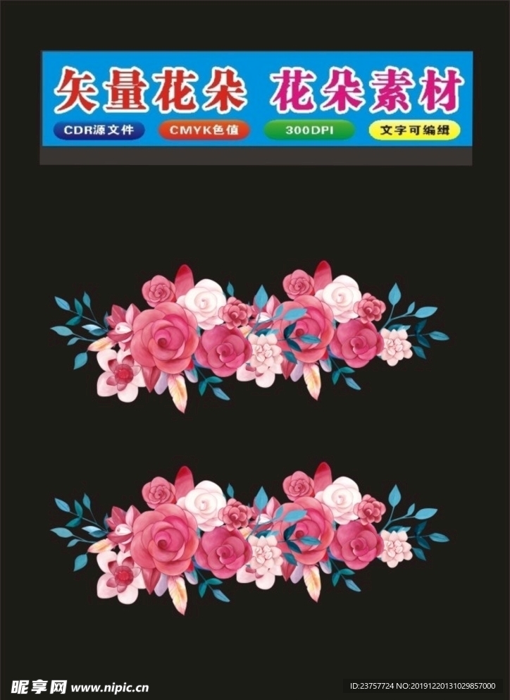 玫瑰花朵