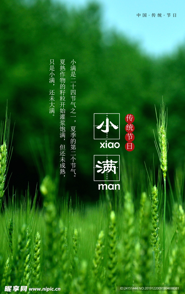 小满传统节日海报