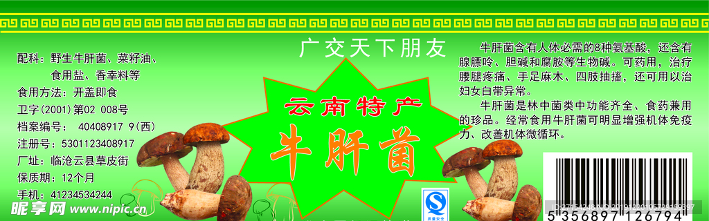 牛肝菌