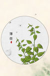 植物叶子装饰画