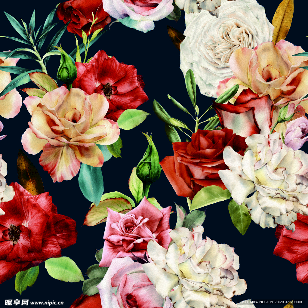 玫瑰花