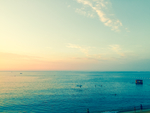 海洋