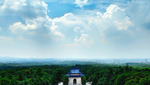 森林天空