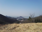 山