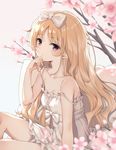 动漫 萌妹子   二次元 动漫