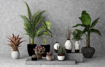 绿植花卉盆栽3d组合