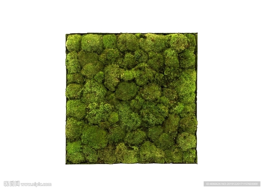 苔藓3d模型