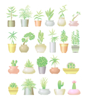 植物花环