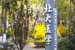 北大医学