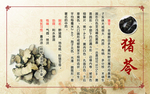 中药