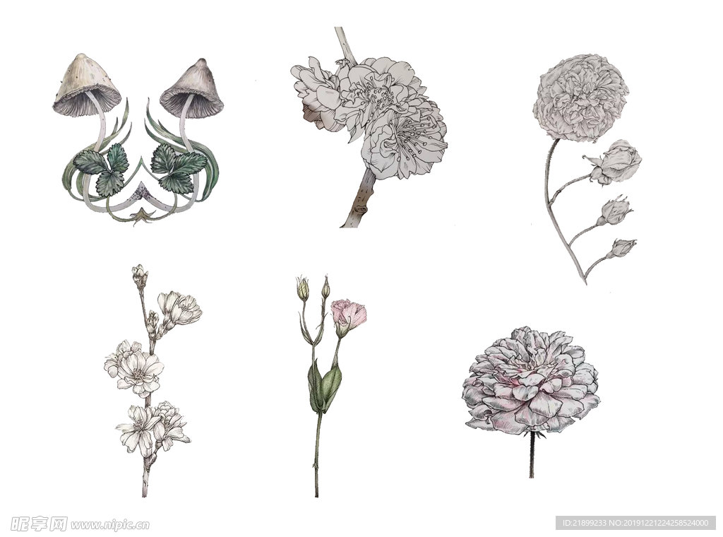 花