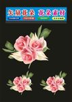 花朵矢量红花