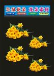 花朵多种矢花朵