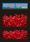 花形花朵制作
