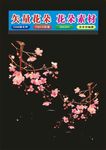 花形背景花朵