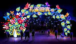 孔雀 迎宾  彩灯 花灯 门灯