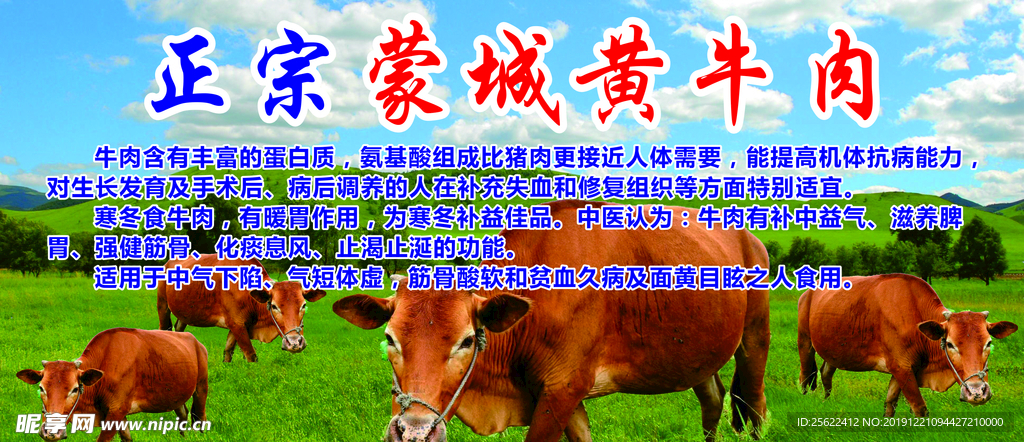 正宗蒙城黄牛肉