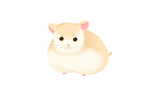 仓鼠