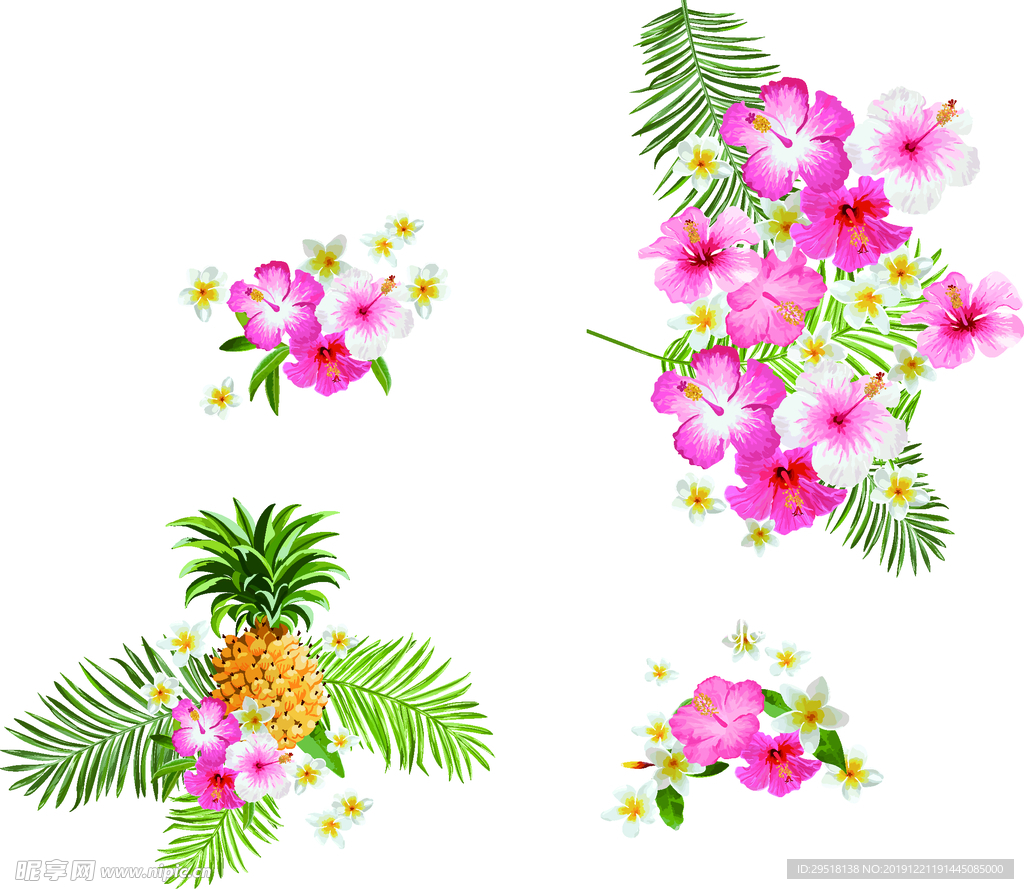 热带花