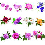 花素材