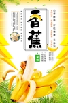 香蕉海报