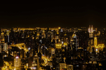 魔都 夜景