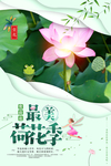 最美荷花季