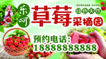 草莓 海报 蔬果