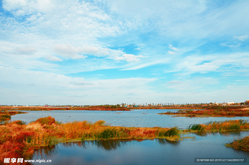 昌乐营丘湿地公园秋景