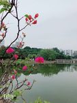 自然景观