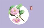 茶树花墙绘