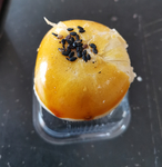蛋黄酥