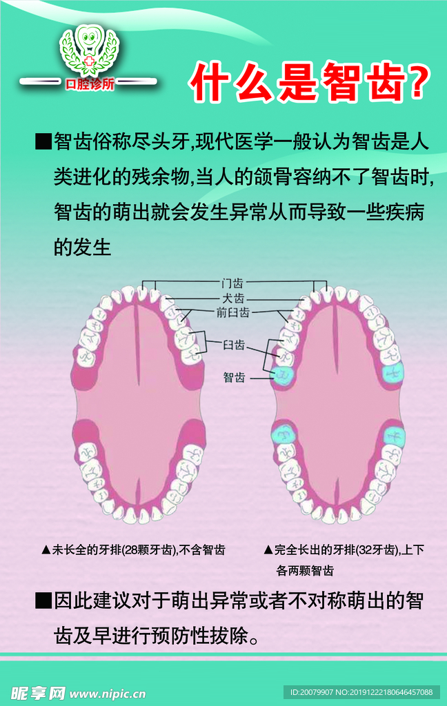 智齿