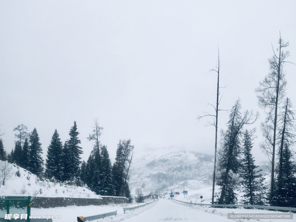 森林雪景