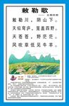 古诗