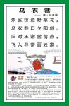 古诗