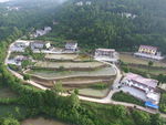 鱼  鱼塘  jpg 摄影 素