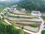 鱼  鱼塘  jpg 摄影 素