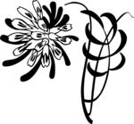 边框 花纹 纹样 纹理 花边