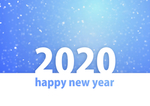 2020年
