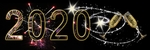 2020年
