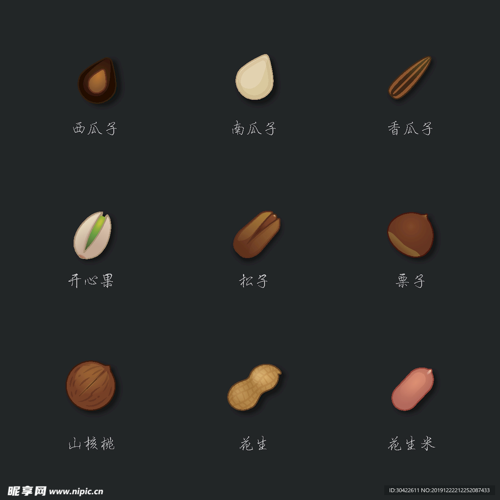 食物矢量图 坚果瓜子等