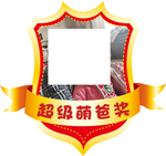 超级萌爸奖