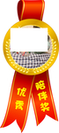 优秀陪伴奖