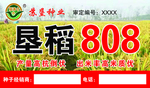 苏垦种业垦稻808