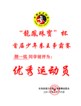 优秀运动员奖牌