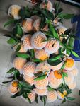 橙子 水果