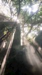 自然景观