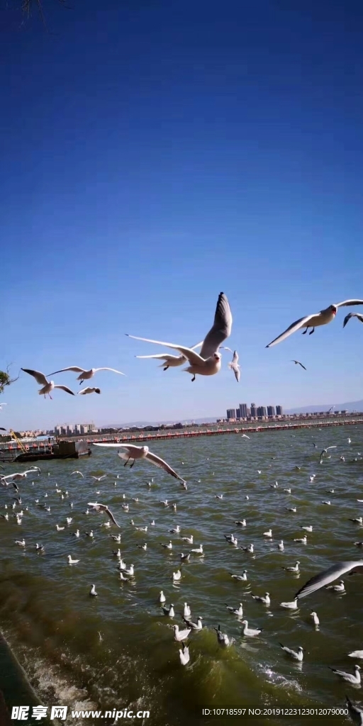 自然景观