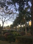 自然景观